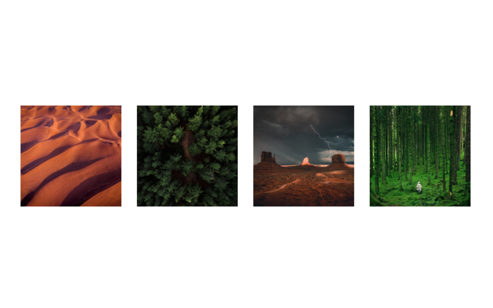 Image Gallery