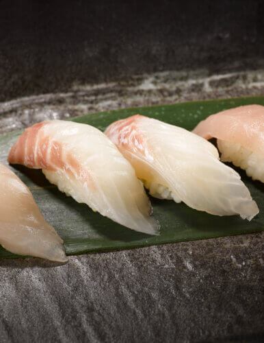 Madai Red Sea Bream